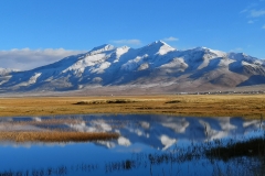 《Tibet》  獲 Merit 獎     作者：沈敏敏