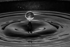 《A drop 》  獲 Honour 獎     作者：杨晓红