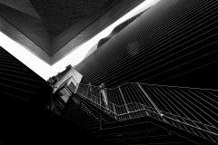 《Different Path》      獲Honour獎     作者：陈少君