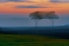 X_BB092O-One-Tree-Hill