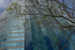 《Spring in city》      獲Honour獎     作者：沈敏敏