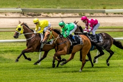 《Horse Racing》     獲 Merit 獎       作者：李彩萍