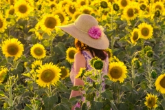 《Sunflower》     獲 Merit 獎       作者：杨晓红