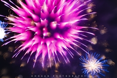 《Flower》     獲 Merit 獎       作者：王仪鸿