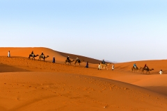 《The Curve of Sahara Desert》     獲 Honour 獎       作者：王一采