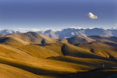 《Tibet Plateau》     獲 Honour 獎       作者：沈敏敏