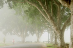 《Fog Bank》      獲Merit獎     作者：吴子明