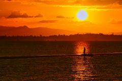 《Sunset 日落》      獲Merit獎     作者：沈敏敏