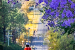 《Good Morning Brisbane》      獲Merit獎     作者：徐克钏