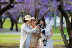 《Jacaranda Smile》      獲Merit獎     作者：徐克钏