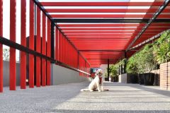 《Red Corridor》      獲Merit獎     作者：田利平