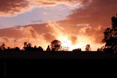 《The Morning Glow Fills The Sky》      獲Merit獎     作者：邢晓明