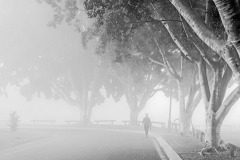 《In The Fog》      獲Honour獎     作者：吴子明