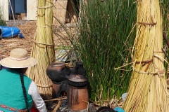 《Open Kitchen at Lake Titicaca》      獲Merit獎     作者：沈敏敏