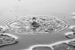 《A DROP OF WATER 01》      獲Merit獎     作者：曹蕾