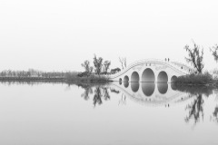 《LOVE BRIDGE》      獲Honour獎     作者：纪军