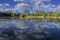 《Wetland》      獲Merit獎     作者：郑碧华