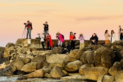 《Fieldwork》   获Merit奖   作者：刘加明（AB组）