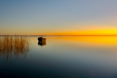 《Day in day out》   获Honour奖   作者：张泽慧（A组）