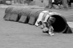 《Next job》   获Merit奖   作者：张泽慧（A组）