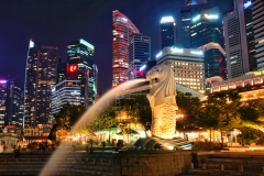 《Night Singapore》      獲Merit獎     作者：杨晓红 (A组)