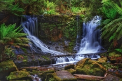 《waterfall》      獲Honour獎     作者：杨晓红 (A组)
