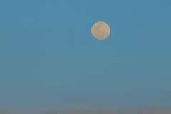 《Moon rising at Ngungun》      獲Merit獎     作者：王惠珍 (B组)