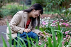《Flower Viewing》      獲Merit獎     作者：李彩萍 (A组)