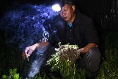 《Hardship  vegetable  farmers》      獲Merit獎     作者：陶勇 (A组)