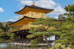 《Golden Pavilion Temple》    获Merit奖     作者：李彩萍（A组）