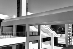 S-1-Y-Honour-BB093S-The-Beauty-of-Order