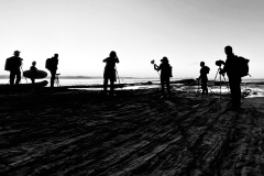 《In Pursuit of the Shot》    获Honour奖     作者：刘加明（B组）