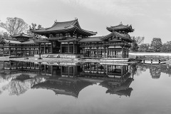 《Phoenix Hall》    获Merit奖     作者：李彩萍（A组）