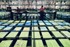 《Beyond the Pages》   获Merit 奖   作者：刘加明（B组）