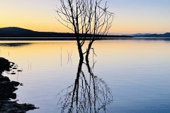 《Twilights Embrace》   获Honour 奖   作者：刘加明（B组）