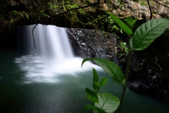 《By the Waterfall》   获Merit 奖   作者：韦钢（A组）