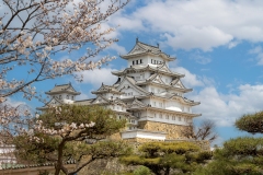 《Temple》   获Merit 奖   作者：李彩萍（A组）