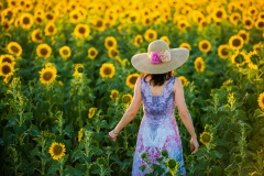 《Sunny Day 》   获Honour 奖   作者：徐克钏（A组）