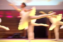 《Feathered Steps》   获Merit 奖   作者：刘加明（B组）