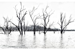 《Ask Heaven》   获Merit 奖   作者：田利平（AB组）