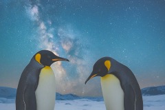 《Antarctic sky》   获Merit 奖   作者：吴子明（A组）