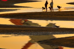 《Watch Out》   获Honour 奖   作者：韦钢（A组）