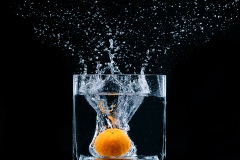 《Water Flower》   获Honour 奖   作者：徐克钏（A组）