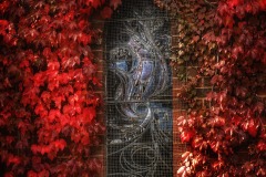 《Window》   获Merit奖   作者：杨晓红（A组）