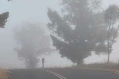 《Morning fog》   获Merit奖   作者：田利平（AB组）