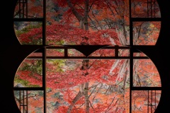《As Above So Below》   获Merit奖   作者：刘训忠（AB组）
