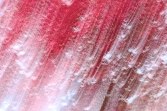 《– Chromatic Drift》   获Merit奖   作者：刘加明（AB组）