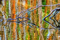 《water reflexion》   获Honour奖   作者：田利平（AB组）