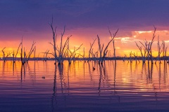 《湖边日落Sunset By The Lake》   获Merit奖   作者：璩伏萍（B组）