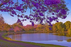 入围作品 - 《Lakeside 》 作者：吳子明